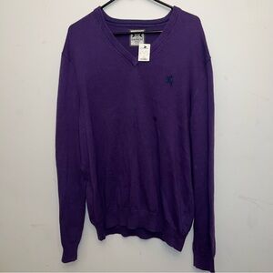 NWT Express Deep Purple V-Neck Sweater